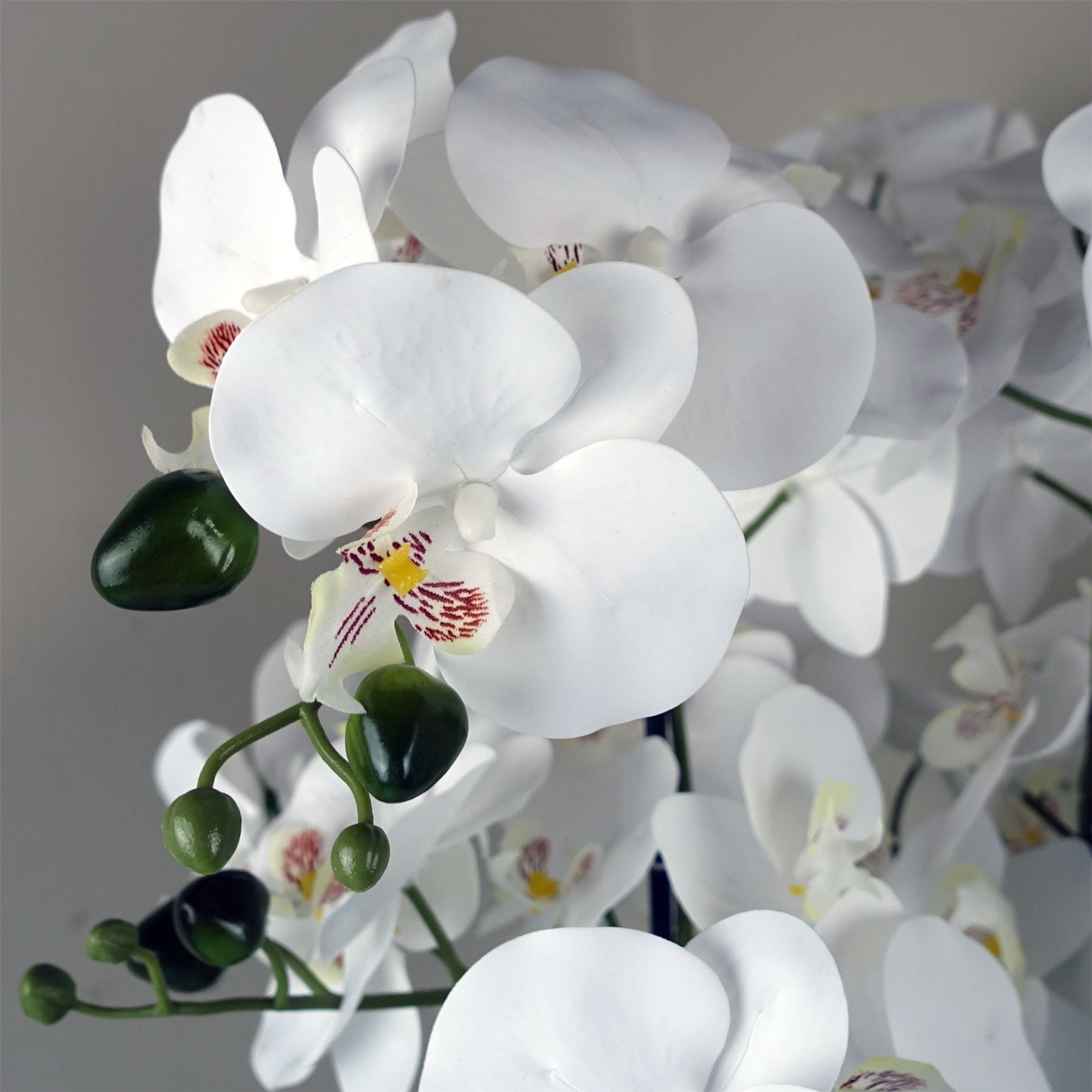 Artificial Orchid with Glass Planter - White