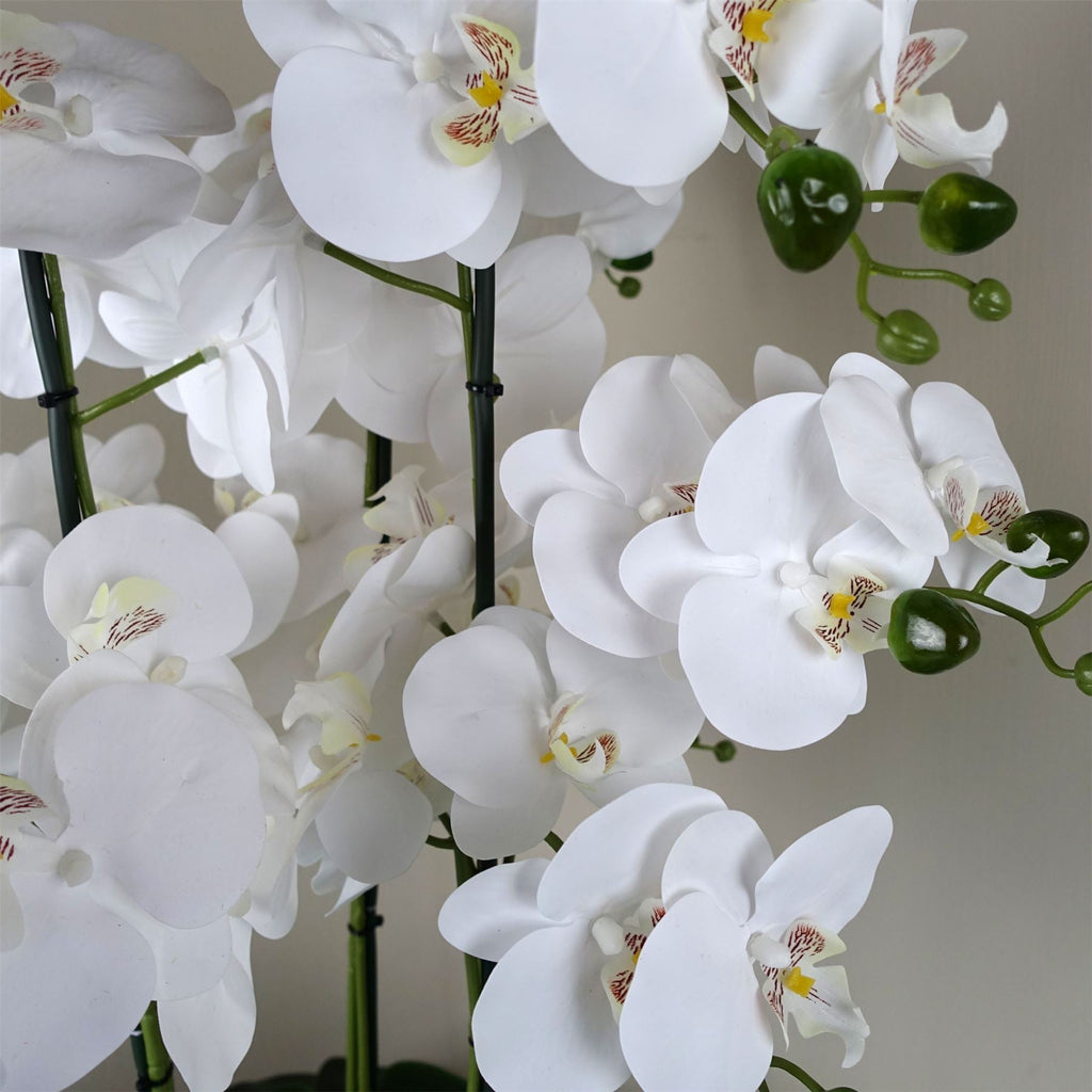 Artificial Orchid with Glass Planter - White