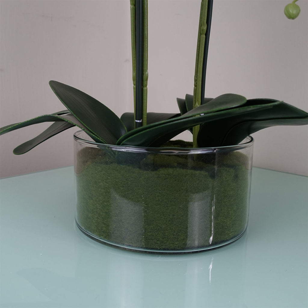 Artificial Orchid with Glass Planter - White